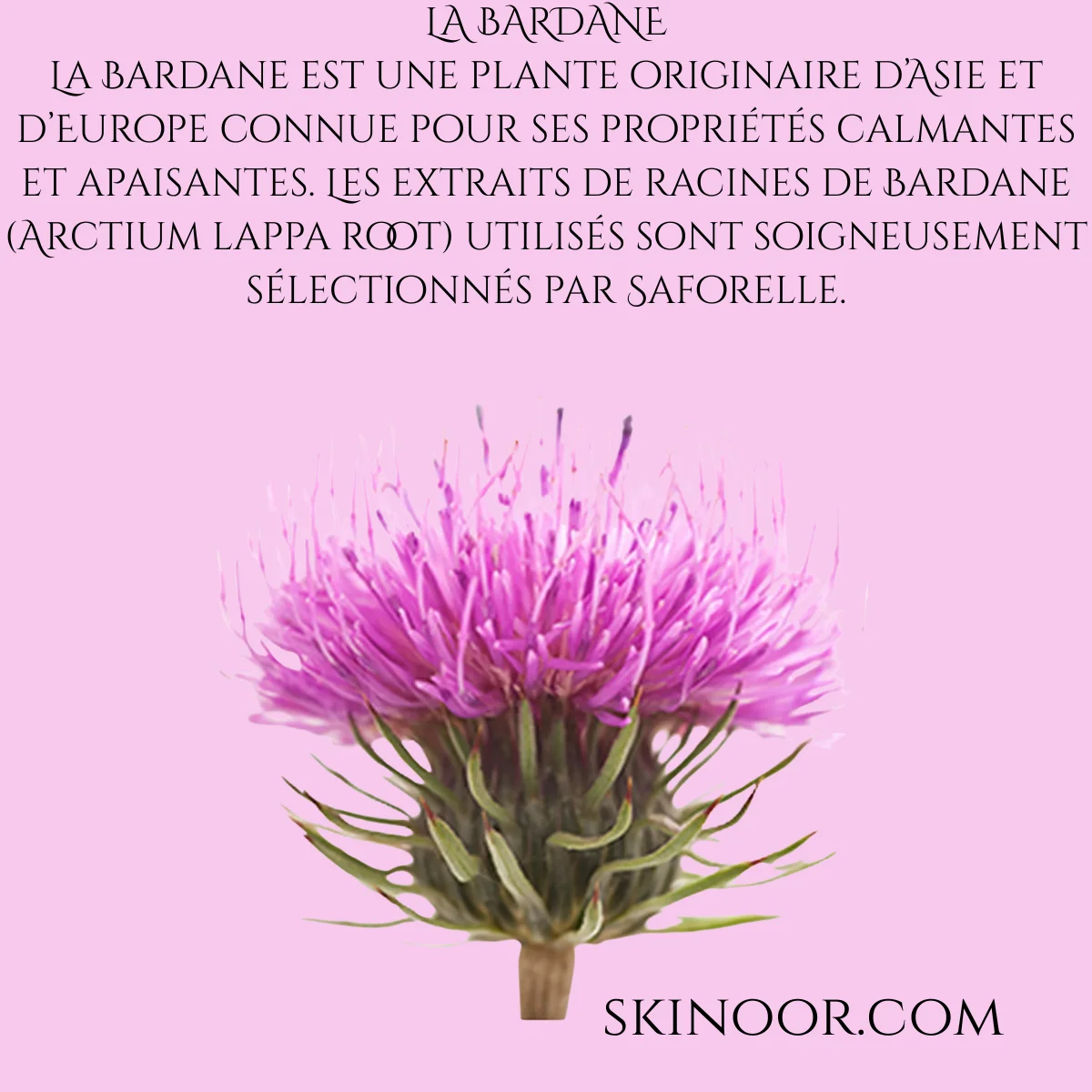 Saforelle Soin Lavant Doux 500ml - Hygiène Intime Quotidienne – Image 2